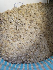 ENCENS NATUREL RÉSINE SAINT MICHEL