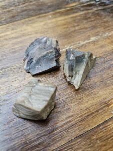 PIERRES ROULÉES BOIS FOSSILISÉ