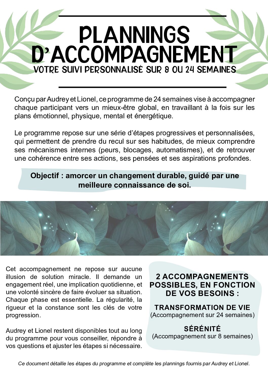 Programme transformation de vie sur 6 mois