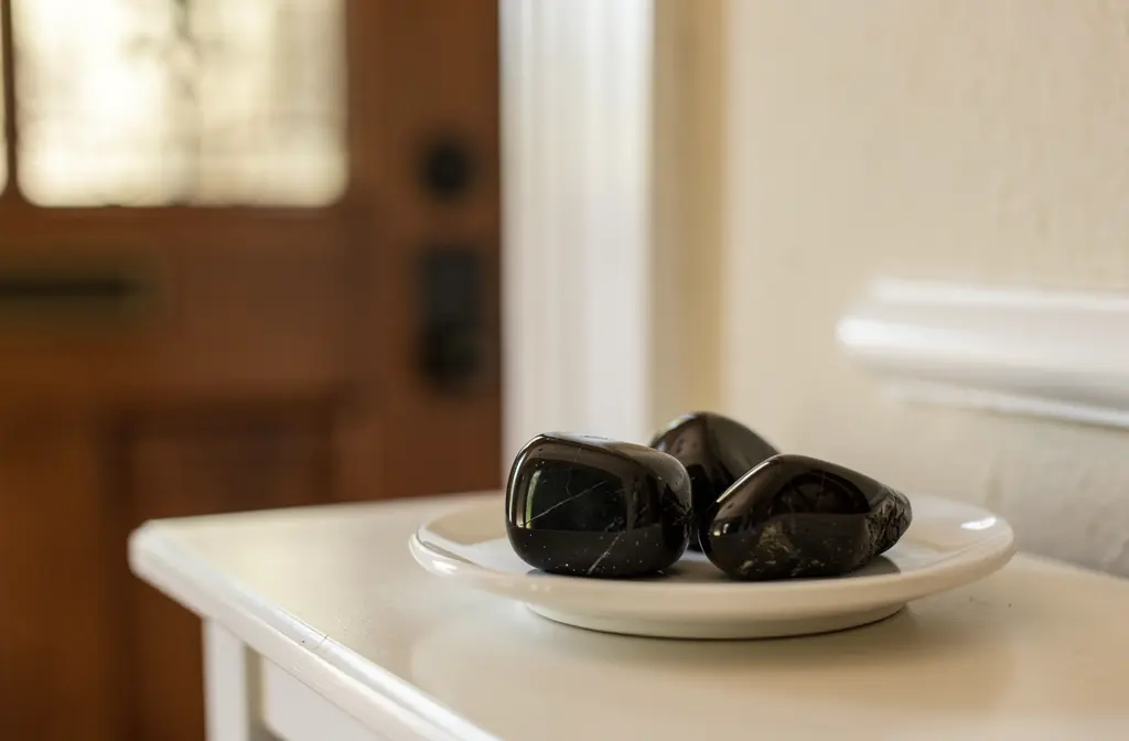Pierres de tourmaline noire posées sur une coupelle blanche près de l'entrée d'une maison pour protection.